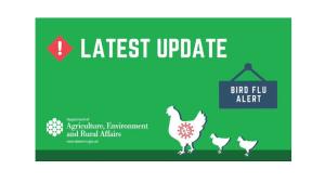 Avian Influenza Latest News Update