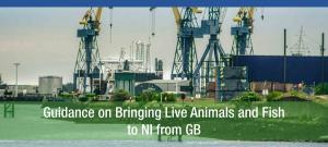 Guidance on bringing live animals and fish to NI from GB