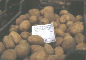 image of nadine NI seed potato