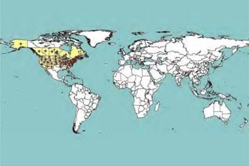 Distribution map of A. anxius as of June 2015