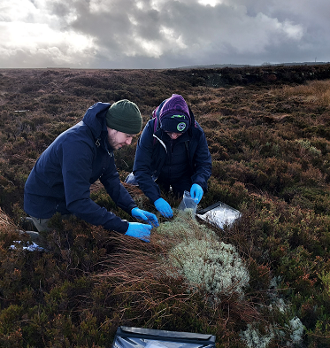 Photograph showing NIEA staff assessing plant health at Altikeeragh ASSI